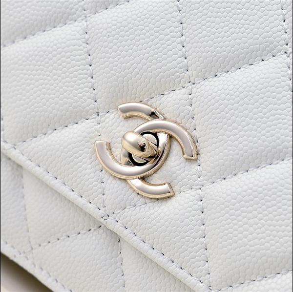 2026127205130426 570